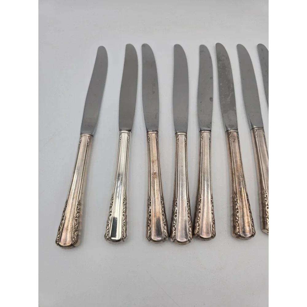 Holmes & Edwards May Queen Silverplate Dinner Knives Set of 10 Floral 9.25in